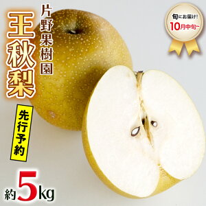 �y�ӂ邳�Ɣ[�Łz�� ��s�\�� ���y�I�ׂ���e�� / �i��z�y2026�N08����{�ȍ~�����z�Ж�ʎ��� �K�� �L�� �V�� ������ �V�� ���H �� �� 3kg 5kg �Ȃ� �i�V �t���[�c �ʕ� �{ �Y�n���� ���Y ���