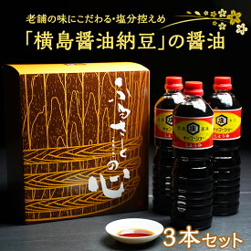 【ふるさと納税】老舗の味にこだわる「横島醤油納豆」の醤油　3本セット 調味料 ご当地 しょうゆ お取り寄せ