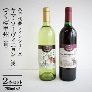 【ふるさと納税】八千代夢ワインシリーズ ヤマ・ソーヴィニョン(赤)・つくば甲州(白)2本セット 母の日 父の日