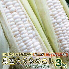 【ふるさと納税】【 先行予約 2024年7月下旬以降発送 】 【 訳あり 】 加熱殺菌済み 真空とうもろこし （ クリスピーホワイト ） 3kg ホワイト 白 トウモロコシ とうもろこし 無添加 保存料不使用 真空 真空パック 数量限定