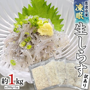 yӂ邳Ɣ[Łz yz Ⓚ 炷 1kg y󂠂z 炷 VX VX VN VR   CN Y hg ^ pbN 󂠂 