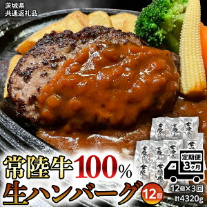 yӂ邳Ɣ[Łzy錧ʕԗizy3ցz јa 헤 100%  v~A no[O 120g×12 v1,440g 㒬Y  gp Y F ۑsgp Ⓚ 