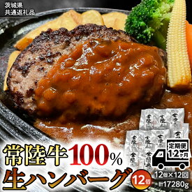 【ふるさと納税】【茨城県共通返礼品】【12ヶ月定期便】 黒毛和牛 常陸牛 100% 特製 プレミアム 生ハンバーグ 120g×12個入り 合計1,440g 八千代町産 白菜 使用 無添加 無着色 保存料不使用 冷凍 牛 牛肉 ビーフ 生 ハンバーグ こだわり