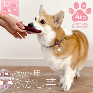 yӂ邳Ɣ[ŁzyIׂ  e z ybgp ӂ  g͂邩 2kg 4kg ybg     ybgt[h  L ԐH wV[ Ic 