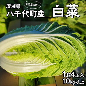 yӂ邳Ɣ[Łzy2025N11{蔭Jnz 錧 㒬Y  ͂ 1 i 4 j 10kg ȏ nNTC ~  ₳ { 6000~ _ƒ Yʓ{ 㒬 