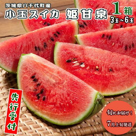 【ふるさと納税】【先行予約 2026年7月上旬以降発送 】八千代町産 小玉スイカ 姫甘泉 1箱 （3～6玉入り） すいか スイカ 西瓜 小玉 果物 フルーツ お取り寄せ 産地直送 茨城県 2026 2026年発送 2026年先行受付 2026年