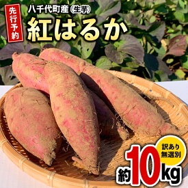 【ふるさと納税】訳あり さつまいも 紅はるか ( 選べる 約 5kg /約 10kg ) 土付き 無選別 茨城 八千代町産 生芋 サツマイモ さつま芋 焼き芋 やきいも 芋 イモ 野菜 不揃い 規格外 長期熟成 おやつ デザート 秋 旬 農家直送 【 先行予約 2025年10月下旬以降発送 】