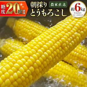 yӂ邳Ɣ[Łẑ _ƒ Ƃ낱 6kg u  vys\2026N7{ȍ~z gERV XC[gR[ R[  嗱 傫 VN Â x T_ 