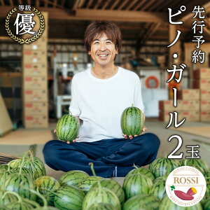 yӂ邳Ɣ[Łzy s\ 7{ ȍ~ z  XCJ smEK[ 2 Dȏ NONAKA HIROSHI FARM  Z ʌ Â  ʕ { 2026N 2026Nst 2026N