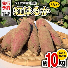 【ふるさと納税】 【 先行予約 2024年10月下旬以降発送 】訳あり 茨城 八千代町産 さつまいも 紅はるか 土付き 無選別 生芋 約 10kg 農家直送 熟成 べにはるか イモ 芋 いも おやつ デザート 秋 旬