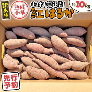 yӂ邳Ɣ[Łzy s\ 2025N11{ȍ~ zy 󂠂 z 㒬Y n g͂邩  yt 10kg ܂ Tc}C  C ӂ邳Ɣ[ 6000~ A