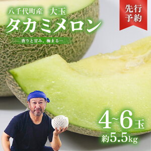 【ふるさと納税】【 先行予約 2026年6月上旬以降発送】 タカミメロン 秀品 2玉〜6玉 【 選べる 玉数 】期間限定 産地直送 果物 フルーツ メロン 甘い 人気 タカミ 貴味 2026年発送 2026年先行受付