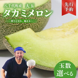 【ふるさと納税】【 先行予約 2026年6月上旬以降発送】 タカミメロン 秀品 2玉～6玉 【 選べる 玉数 】期間限定 産地直送 果物 フルーツ メロン 甘い 人気 タカミ 貴味