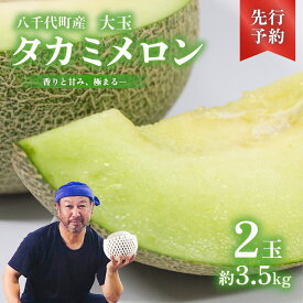 【ふるさと納税】【 先行予約 2026年6月上旬以降発送】 タカミメロン 秀品 2玉～6玉 【 選べる 玉数 】期間限定 産地直送 果物 フルーツ メロン 甘い 人気 タカミ 貴味