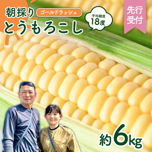 yӂ邳Ɣ[Łzys\ ߘa8NY 2026N6{ȍ~ z ̂ Ƃ낱 i S[hbV j y Iׂe z gERV ̂ Â VN 6kg 3.5kg XC[gR[ R