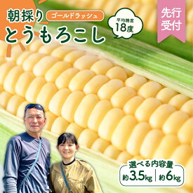 【ふるさと納税】【先行予約 令和8年産 2026年6月中旬以降発送 】 朝採り とうもろこし （ ゴールドラッシュ ） 【 選べる内容量 】 トウモロコシ 朝採り 甘い 新鮮 6kg 3.5kg スイートコーン コーン 野菜 極甘 岩田さん 2026 2026年発送 2026年先行受付 2026年