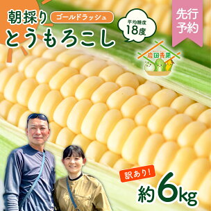 【先行予約 令和8年産 2026年6月中旬以降発送 】 【...