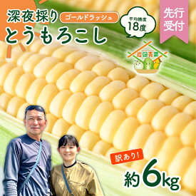 【ふるさと納税】【先行予約 令和9年産 2027年6月中旬以降発送 】 【 訳あり 】 深夜採り 朝出荷 とうもろこし （ ゴールドラッシュ ） 約 6kg トウモロコシ スイートコーン コーン 野菜 産地直送 期間限定 岩田さん 昼めし旅 2027 2027年発送 2027年先行受付 2027年