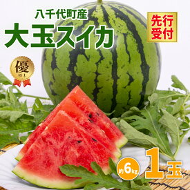 【ふるさと納税】【 先行予約 2026年6月中旬以降発送開始】 令和8年産 八千代町産 大玉 スイカ 優以上 1箱 L2玉（ 1玉 約 6kg ） 祭ばやし777 期間限定 産地直送 果物 フルーツ スイカ すいか 西瓜 甘い 夏 2026年発送 2026年先行受付 2026年