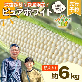 【ふるさと納税】【 訳あり 】【 令和8年産 】【先行予約 2026年6月下旬以降発送 】【数量限定】 深夜採り 朝出荷 白い とうもろこし ピュアホワイト 約6kg トウモロコシ 旬 BBQ バーベキュー 夏野菜 甘い 期間限定 ふるさと納税 6000円 2026年発送 2026年先行受付 2026年