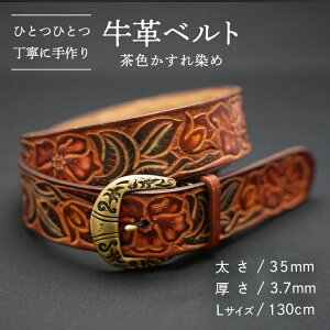 yӂ邳Ɣ[ŁzvxgiF߁jy35mmA3.7mmAMTCY(110cm) or LTCY(130cm)z ̓ v  v  xg  nhCh