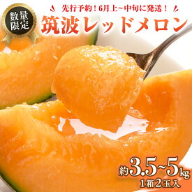 【ふるさと納税】筑波レッドメロン 1箱 2玉 入り（約 3.5kg ～ 5kg ）【2026年6月上旬以降発送】 メロン レッド 赤肉 甘い 期間限定 産地直送 果物 フルーツ 2026 2026年発送 2026年先行受付 2026年