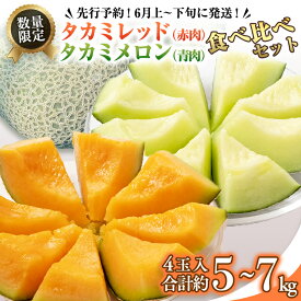 【ふるさと納税】タカミレッド（赤肉）・タカミメロン（青肉）食べ比べ 2色 セット 合計4玉入り（約5kg～7kg）【2027年6月上旬以降発送】 期間限定 産地直送 農家直送 果物 フルーツ メロン タカミ たかみ 貴味 レッド 甘い 4玉 2027 2027年発送 2027年先行受付 2027年