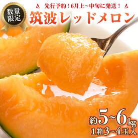 【ふるさと納税】筑波レッドメロン 1箱 3玉 ～ 4玉 入り（ 約 5kg ～ 6kg ）【2026年6月上旬以降発送】 赤肉　数量限定 メロン レッド 赤肉 甘い 期間限定 産地直送 果物 フルーツ 2026 2026年発送 2026年先行受付 2026年