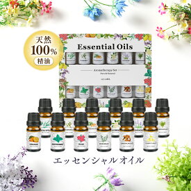 【ふるさと納税】 エッセンシャルオイル 天然100% 精油 10ml × 12本 (ペパーミント , フランキンセンス , ラベンダー , スイートオレンジ , レモングラス , ユーカリ , ローズ , ジャスミン , カモミール , サンダルウッド , ローズマリー , イランイラン ) アロマオイル