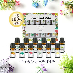 yӂ邳Ɣ[Łz GbZVIC VR100%  10ml × 12{ (yp[~g , tLZX , x_[ , XC[gIW , OX , [J , [Y , WX~ , J