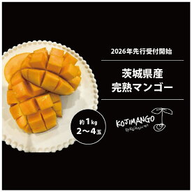 【ふるさと納税】【 先行予約 2026年8月中旬順次発送】 完熟マンゴー 約 1kg ( 2～4玉 ) アーウィン マンゴー 茨城県 八千代町