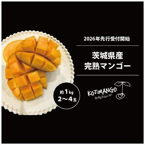 yӂ邳Ɣ[Łzy s\ 2026N8{z n}S[  1kg ( 2`4 ) A[EB }S[ 錧 㒬