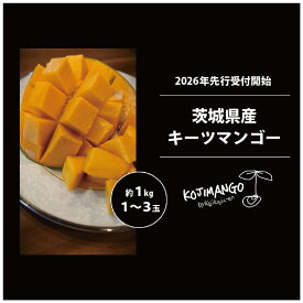 【ふるさと納税】【 先行予約 2026年9月中旬順次発送】 完熟マンゴー 約1kg ( 1～3玉 ) キーツ マンゴー 茨城県 八千代町 2026年発送 2026年先行受付 2026年
