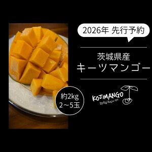 �y�ӂ邳�Ɣ[�Łz�y ��s�\�� 2026�N9�����{���������z ���n�}���S�[ ��2kg ( 2�`5�� ) �L�[�c �}���S�[ ��錧 ����㒬 2026�N���� 2026�N��s��t 2026�N