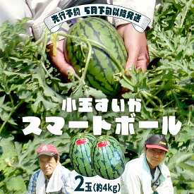 【ふるさと納税】【 先行予約 2026年5月下旬 以降発送 】 小玉 すいか スマートボール 2玉 約 4kg スイカ 西瓜 フルーツ 果物 旬 ふるさと納税 10000円 八千代町 茨城 2026年発送 2026年先行受付 2026年