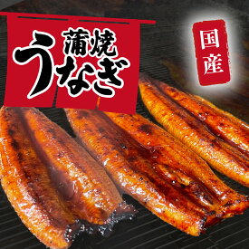 【ふるさと納税】【レビューキャンペーン】 国産 うなぎ 蒲焼 山椒付き 【サイズ・容量・ギフト・発送時期が選べる】 特上2尾 550g以上 (カット有・無) / 3尾 380g以上 or 430g以上 / 5尾 640g以上 鰻 ふぞろい うな重 人気 ふるさと納税 ギフト 父の日 お中元 お歳暮 化粧箱