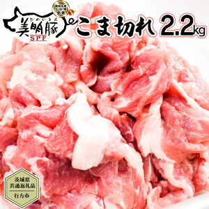yӂ邳Ɣ[Łzy錧ʕԗi^ssz  ܐ؂ 2.2kg ؓ  SPF uh ܐ؂ ϕ  [CF013ya]