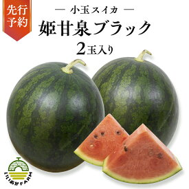 【ふるさと納税】【 令和8年産 】【 先行予約 】小玉 スイカ 姫甘泉ブラック 1箱 2玉入り すいか 黒 西瓜 数量限定 甘い 夏 果物 2026 2026年発送 2026年先行受付 2026年