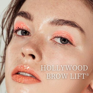 yӂ邳Ɣ[ŁzHOLLYWOOD BROW LIFTR ( nEbhuEtg )   уp[} CN ACuE T