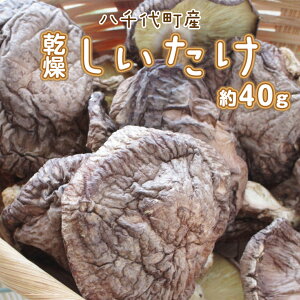 yӂ邳Ɣ[Łz 㒬Y   40g ő VC^P ̂ LmR  ӂ邳Ɣ[ 6000~ 錧 㒬