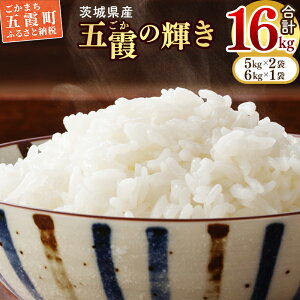 yӂ邳Ɣ[ŁzyVĐstzߘa7NYw܉̋Px16kg(5kg×2܁A6kg×1)yzIzoדɍ킹Đ - uh RVqJ ܂ ~L[NC[ Ђ