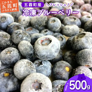 yӂ邳Ɣ[ŁztbV ܉Y Ⓚu[x[500g - u[x[ VN tbV 嗱 _ Ⓚ t[c ʕ ̂܂  H 錧 ܉