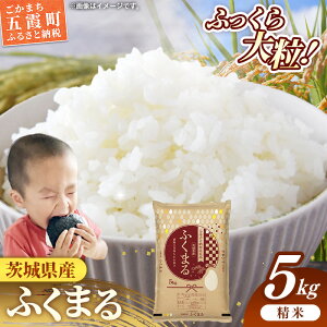 yӂ邳Ɣ[Łzߘa7NY 錧Y ӂ܂ 5kg ^   V | S  錧 ܉