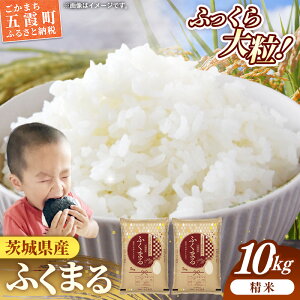 yӂ邳Ɣ[Łzߘa7NY 錧Y ӂ܂ 10kg ^   V | S  錧 ܉