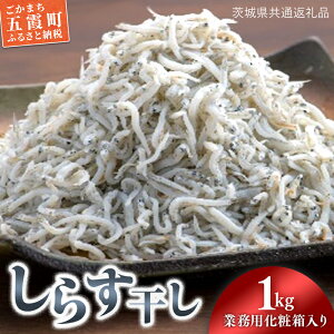 yӂ邳Ɣ[Łz炷 1Li錧ʕԗiEYj ^ 炷 炷 Nx H꒼ | Ïk  Ⓚ 1kg 錧
