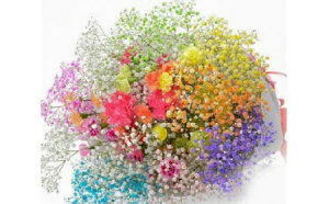 生花 かすみ草の人気商品 通販 価格比較 価格 Com