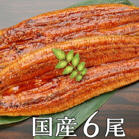 【ふるさと納税】《期間限定・訳あり》さかい河岸水産の国産うなぎ蒲焼6尾 ※サイズ不揃い 合計780g以上