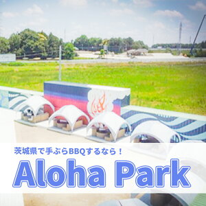 yӂ邳Ɣ[Łz錧 Aloha Park BBQ { p