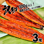★レビューキャンペーン★ 訳あり さかい河岸水産 国産 うなぎ 3尾 300g以上！ ※ 不揃い | 鰻 ウナギ 蒲焼き 蒲焼 丑の日 土用 発送時期が選べる 父の日 母の日 土用の丑の日