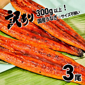 【ふるさと納税】訳あり さかい河岸水産 国産 うなぎ 3尾 300g以上！ ※ 不揃い | 鰻 ウナギ 蒲焼き 蒲焼 丑の日 土用 発送時期が選べる 父の日 母の日